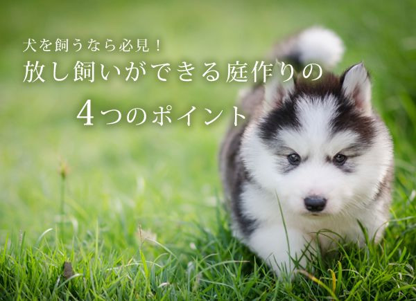 犬を飼うなら必見！放し飼いができる庭作りの4つのポイント