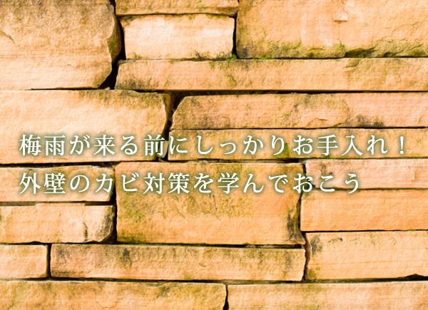 梅雨が来る前にしっかりお手入れ！外壁のカビ対策を学んでおこう