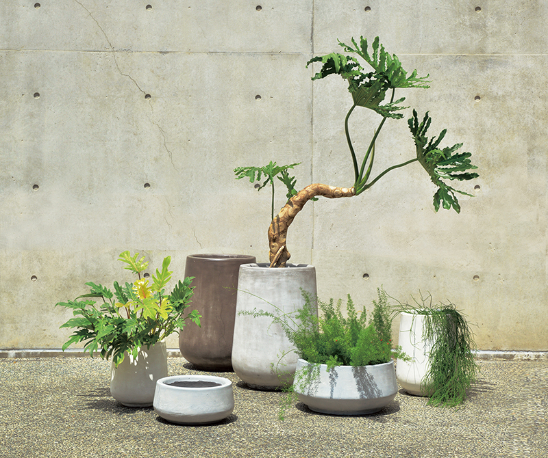 家にグリーンを増やしたい！さまざまな植木鉢と観葉植物 | ジューシーガーデン 公式ブログ