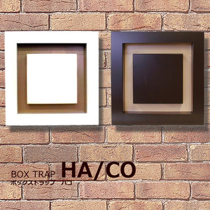 P1JGJG-HACO-_1